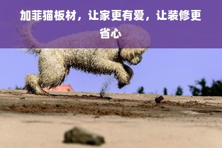 加菲猫板材，让家更有爱，让装修更省心
