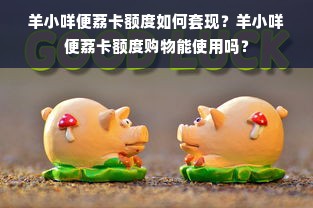 羊小咩便荔卡额度如何套现？羊小咩便荔卡额度购物能使用吗？