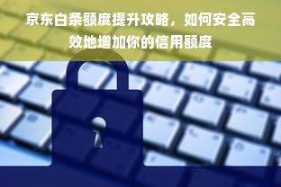 京东白条额度提升攻略，如何安全高效地增加你的信用额度