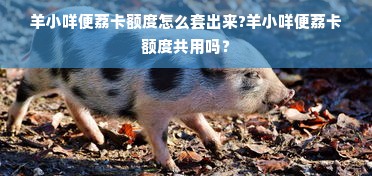 羊小咩便荔卡额度怎么套出来?羊小咩便荔卡额度共用吗？