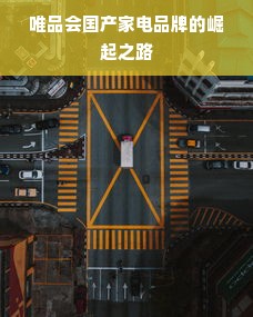 唯品会国产家电品牌的崛起之路