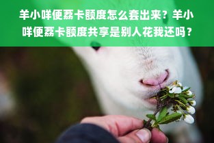 羊小咩便荔卡额度怎么套出来？羊小咩便荔卡额度共享是别人花我还吗？