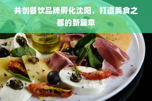 共创餐饮品牌孵化沈阳，打造美食之都的新篇章