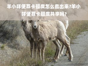 羊小咩便荔卡额度怎么套出来?羊小咩便荔卡额度共享吗?