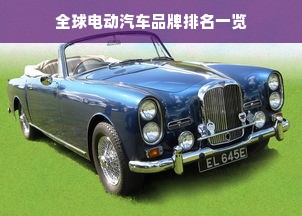 全球电动汽车品牌排名一览