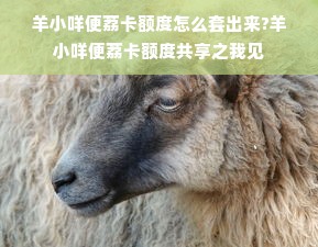 羊小咩便荔卡额度怎么套出来?羊小咩便荔卡额度共享之我见