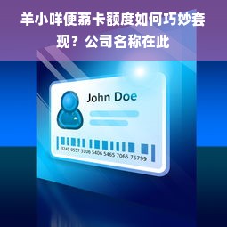 羊小咩便荔卡额度如何巧妙套现？公司名称在此