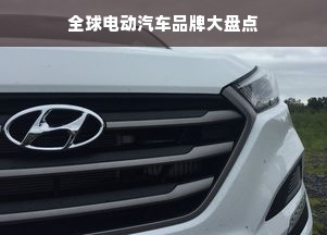 全球电动汽车品牌大盘点