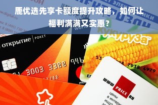 鹿优选先享卡额度提升攻略，如何让福利满满又实惠？