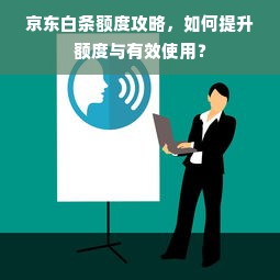京东白条额度攻略，如何提升额度与有效使用？