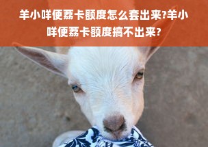 羊小咩便荔卡额度怎么套出来?羊小咩便荔卡额度搞不出来?
