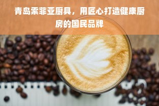 青岛索菲亚厨具，用匠心打造健康厨房的国民品牌