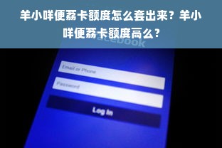 羊小咩便荔卡额度怎么套出来？羊小咩便荔卡额度高么？