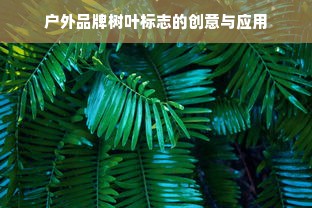 户外品牌树叶标志的创意与应用