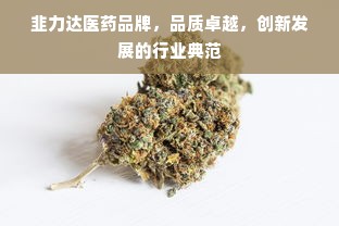 韭力达医药品牌，品质卓越，创新发展的行业典范