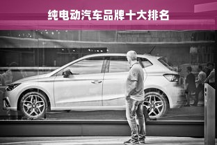 纯电动汽车品牌十大排名