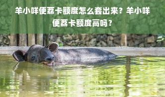 羊小咩便荔卡额度怎么套出来？羊小咩便荔卡额度高吗？