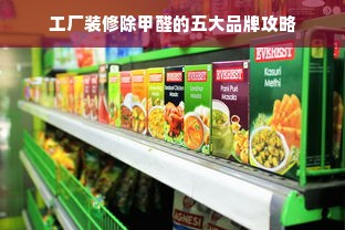 工厂装修除甲醛的五大品牌攻略