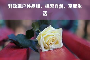 野玫瑰户外品牌，探索自然，享受生活