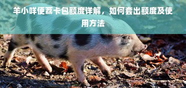 羊小咩便荔卡包额度详解，如何套出额度及使用方法