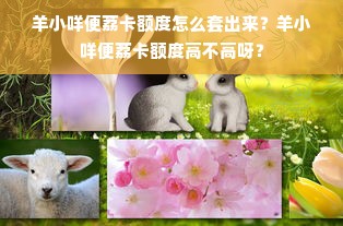 羊小咩便荔卡额度怎么套出来？羊小咩便荔卡额度高不高呀？
