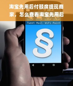 淘宝先用后付额度提现商家，怎么查看淘宝先用后付额度？
