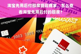 淘宝先用后付额度提现商家，怎么查看淘宝先用后付的额度？