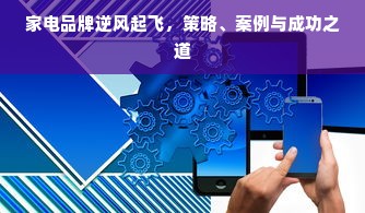 家电品牌逆风起飞，策略、案例与成功之道