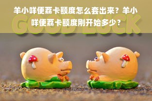 羊小咩便荔卡额度怎么套出来？羊小咩便荔卡额度刚开始多少？