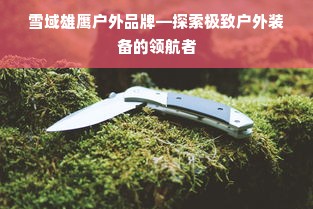雪域雄鹰户外品牌—探索极致户外装备的领航者