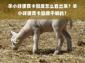 羊小咩便荔卡额度怎么套出来？羊小咩便荔卡额度干嘛的？
