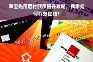 淘宝先用后付额度提升攻略，商家如何有效提额？