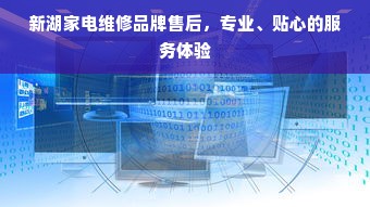新湖家电维修品牌售后，专业、贴心的服务体验