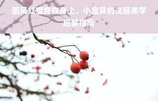 国风红宝穿在身上，小宝贝的汉服美学启蒙指南