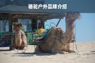 骆驼户外品牌介绍