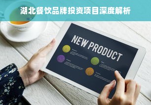 湖北餐饮品牌投资项目深度解析