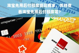 淘宝先用后付额度提现商家，咋样查看淘宝先用后付额度呢？