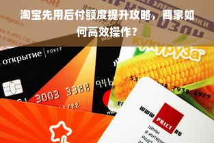 淘宝先用后付额度提升攻略，商家如何高效操作？
