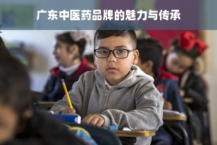 广东中医药品牌的魅力与传承
