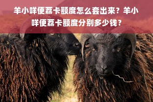 羊小咩便荔卡额度怎么套出来？羊小咩便荔卡额度分别多少钱？