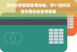 京东白条额度使用攻略，双11如何高效利用你的信用额度