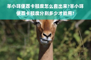 羊小咩便荔卡额度怎么套出来?羊小咩便荔卡额度分别多少才能用?