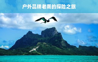 户外品牌老鹰的探险之旅