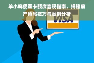 羊小咩便荔卡额度套现指南，揭秘房产填写技巧与案例分析