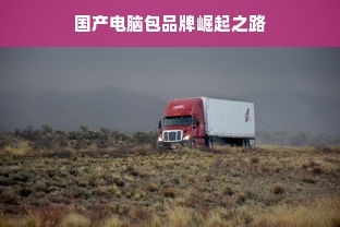 国产电脑包品牌崛起之路