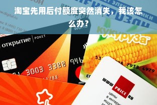 淘宝先用后付额度突然消失，我该怎么办？