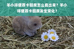 羊小咩便荔卡额度怎么套出来？羊小咩便荔卡额度发生变化？