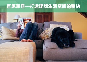 宜家家居—打造理想生活空间的秘诀