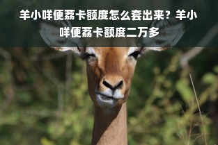 羊小咩便荔卡额度怎么套出来？羊小咩便荔卡额度二万多