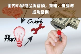 国内小家电品牌营销，策略、挑战与成功案例